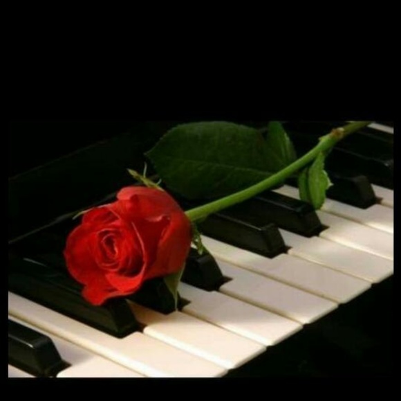 Meet your Posher, Yazbec - Picture 1 of 1